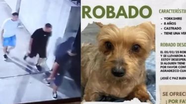 Los delincuentes y el perro robado en José C. Paz.
