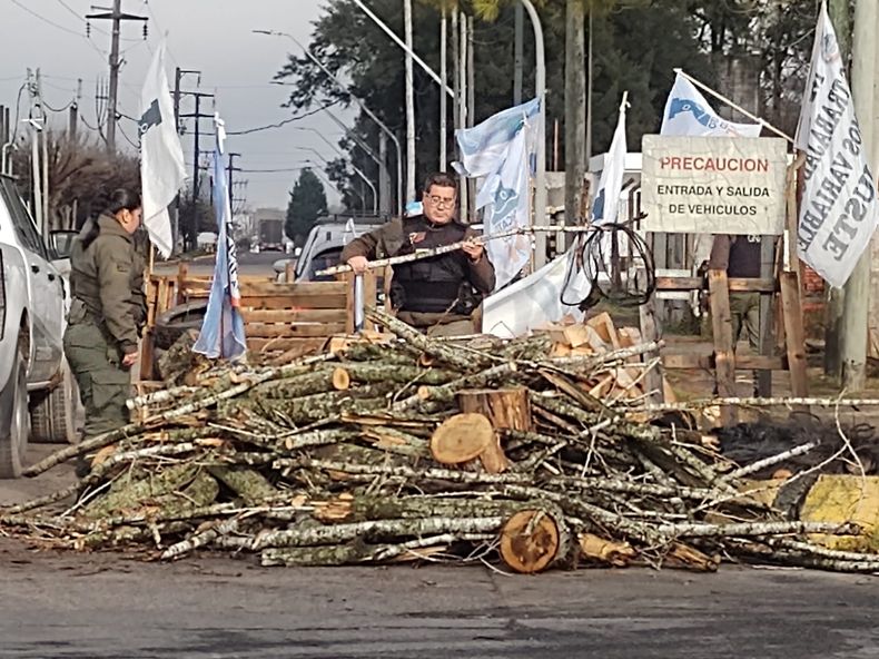 protesta (2)