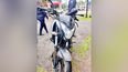 La moto involucrada en el accidente del kilómetro 42.