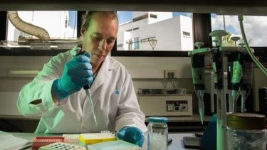 la universidad de la plata creo un insecticida que no dana el medio ambiente