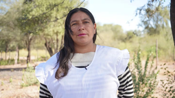 Esta es la maestra chaqueña que fue nominada a la mejor maestra del mundo