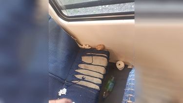 Muchos se quejan del servicio... sinceramente no merecemos mejor servicio. Pañal arriba del asiento y una mugre asquerosa! Pablo Hernan Filippo..