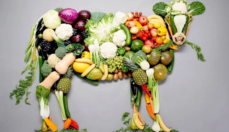 Día Mundial del Veganismo. (rionegro.com.ar).