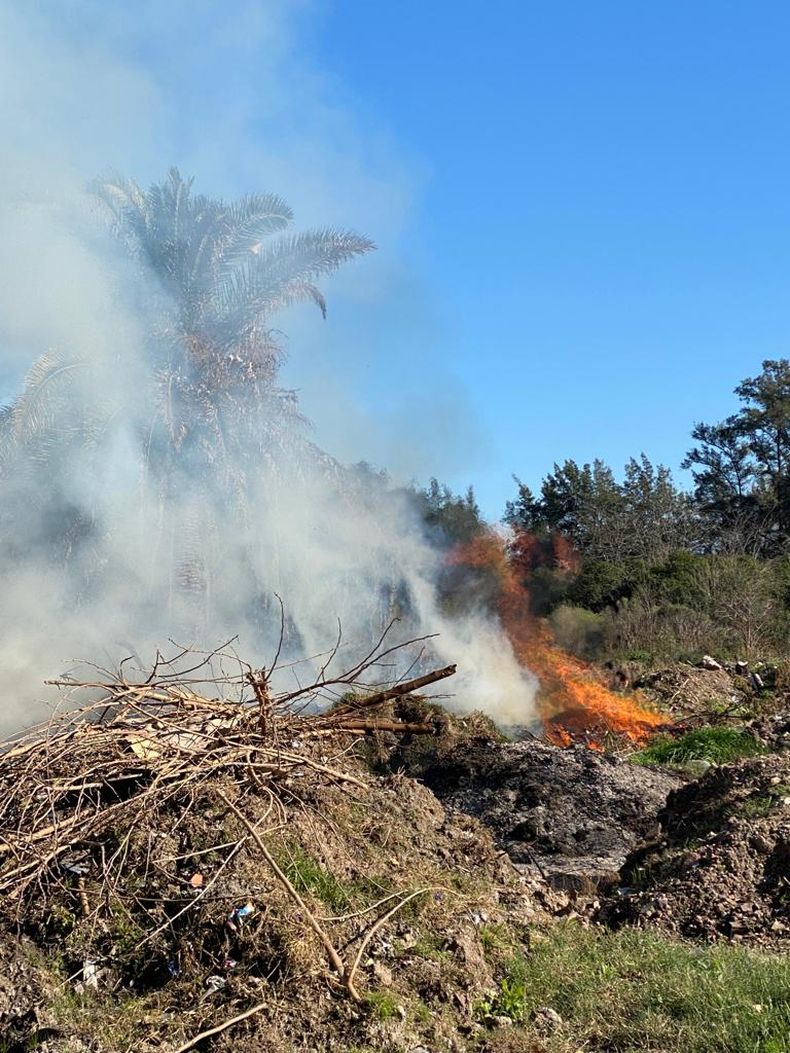 FUEGO. El incendio comenzó en un predio de Ruta 8 y Saraví, en La Lonja.