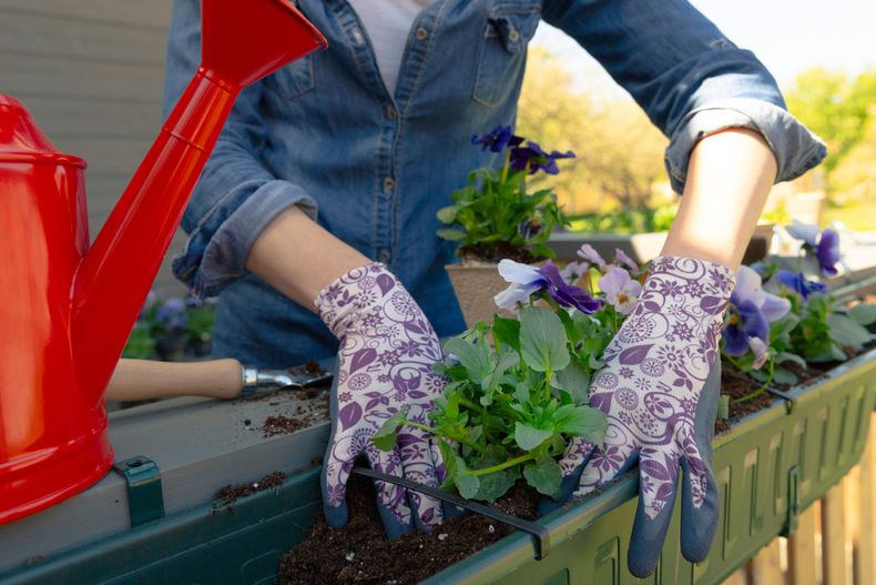 La tierra con turba es buena para las plantas, pero mala para el medio ambiente. (easyagentblogs.com)..jpg