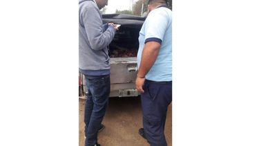 CAMIONETA. La mercadería se transportaba sin refrigerar..