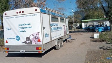 quirofano veterinario en villa rosa
