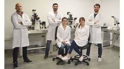 TAREA CUMPLIDA. Parte del equipo que trabaja en el proyecto. .