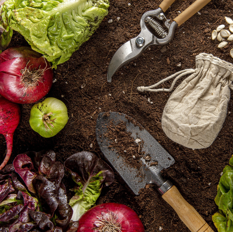 ¿Qué plantar en la huerta en diciembre? (Freepik)..png