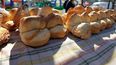 este domingo llega la 9º fiesta de la galleta de campo en oliden