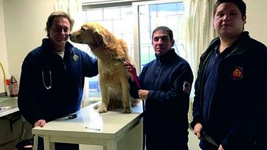MIMOS. El presidente del Colegio de Veterinarios, Gustavo Kietaibl, junto a uno de los rescatistas y sus entrenadores. .