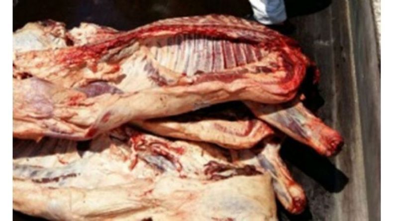 ALIMENTO, DE ANIMALES. La carne fue llevada al zoológico de Luján..