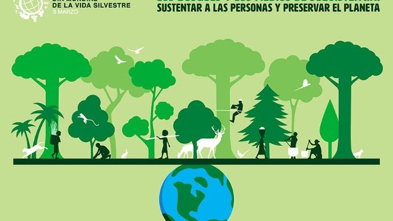 Este año, la fecha está centrada en los bosques..