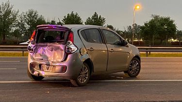 panamericana: quiso esquivar a un perro y choco