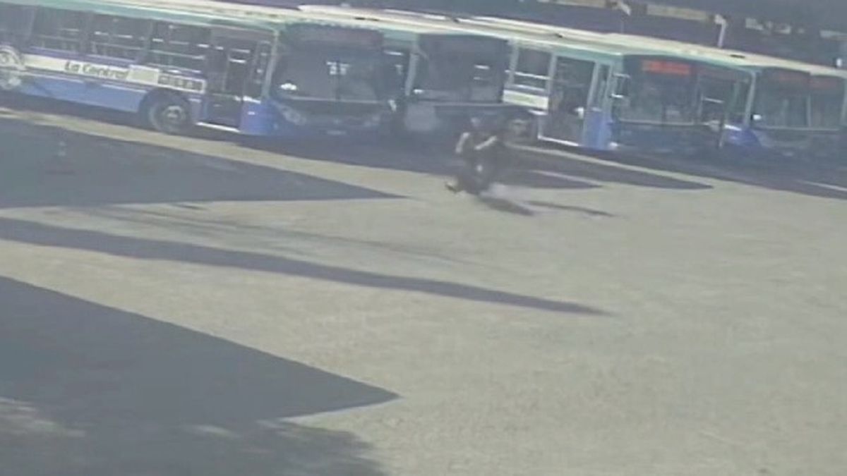 Brutal agresión a un chofer de colectivos en Derqui