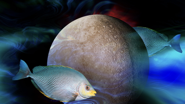 Mercurio en Aries y Luna Nueva en Piscis ¿cómo aprovechar su energía?