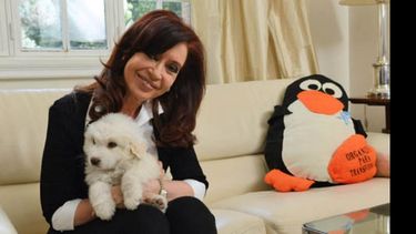 El perro Simón, regalo del hermano de Chávez y el pingüino pilarense..