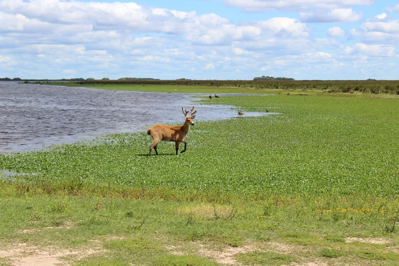 El Parque Nacional es una mini escapada ideal desde Pilar. (argentina.gob.ar).