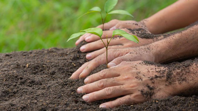 Hoy es el Día Mundial de la Tierra. (globovision.com).
