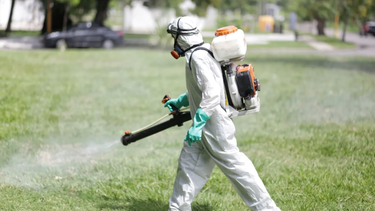 DENGUE: El Ministerio de Salud bonaerense instó a reforzar las medidas de prevención para evitar la propagación del virus