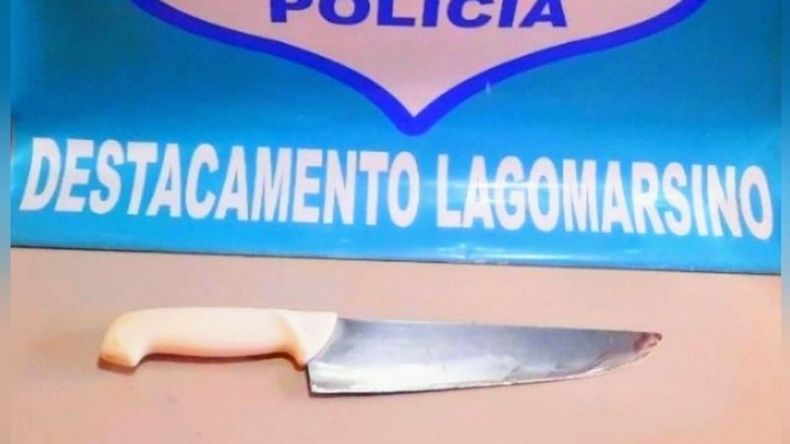 La víctima fue atacada por su compañera con un cuchillo tipo carnicero. .