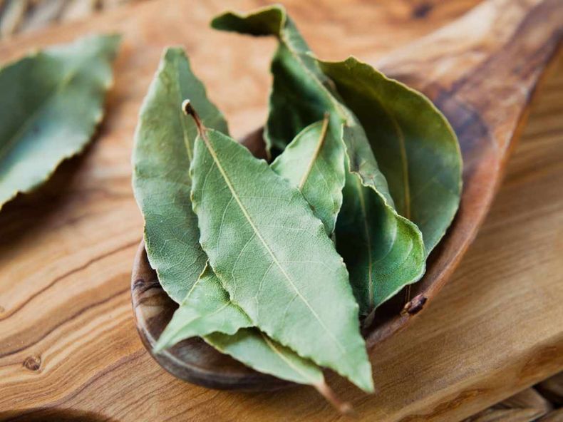 Las hojas de laurel frescas trituradas ahuyentan a las hormigas. (especias.blog)..jpg