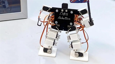 Es el robot humanoide más pequeño del mundo: tiene el tamaño de una birome