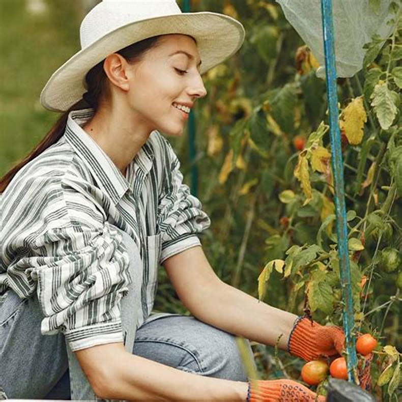 ¿Qué cultivar en la huerta en enero? (cuerpomente.com)..png
