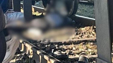 El accidente ocurrió a la altura de la estación William Morris.