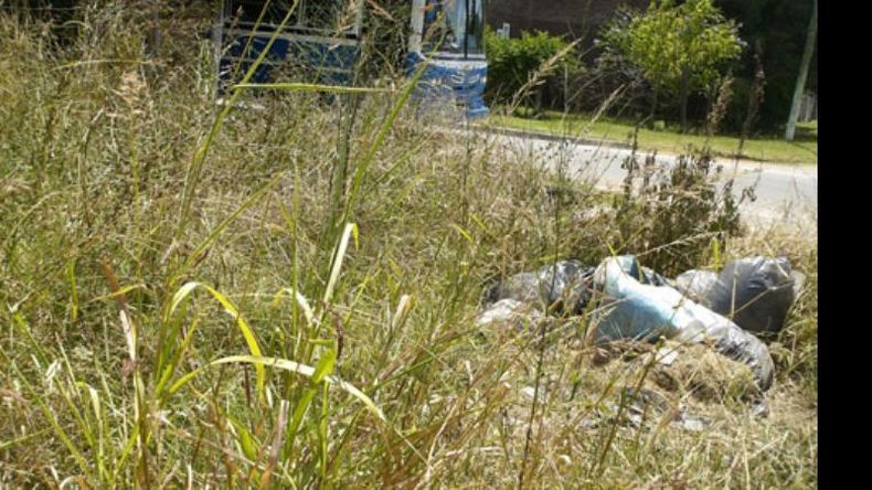 Foto denuncia. Está muy bien la campaña contra el dengue, en mi barrio pasaron la semana pasada. Pero yo tengo hecho un reclamo del día 10 de diciembre del 2012, N° de reclamo 627, de recolección y zanjeo que todavía sigo esperando, a pesar de haber vuelto a llamar varias veces más. Ya se sabe que toda esa basura (botellas, tarros, chapas etc.), es un lugar ideal para el mosquito. Hace un tiempo pedí personalmente un cartel de prohibido arrojar basura y su N° de ley y la respuesta fue n.