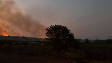 Los incendios se generaron en un campo propiedad de Ricardo Elliot, funcionario durante el gobierno del exintendente Nicolás Ducoté..