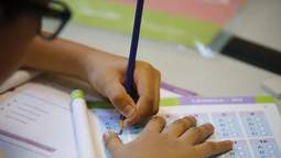 La Ayuda Escolar Anual de ANSES se entrega con el fin de ayudar a cubrir los gastos escolares y su valor superó los $80.000. &nbsp;