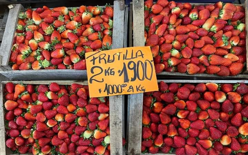 El 5 de septiembre el año pasado, una verdulería de Pilar ofrecía frutillas a $1.000 por kilo. Este año, podría aumentar un 300%. 