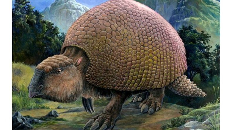 El gliptodonte era una especie de mulita gigante, del tamaño de un auto mediano..