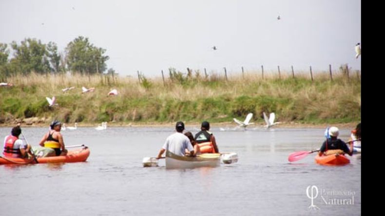 En canoa y kayaks. La Reserva invita a navegar por el Luján..