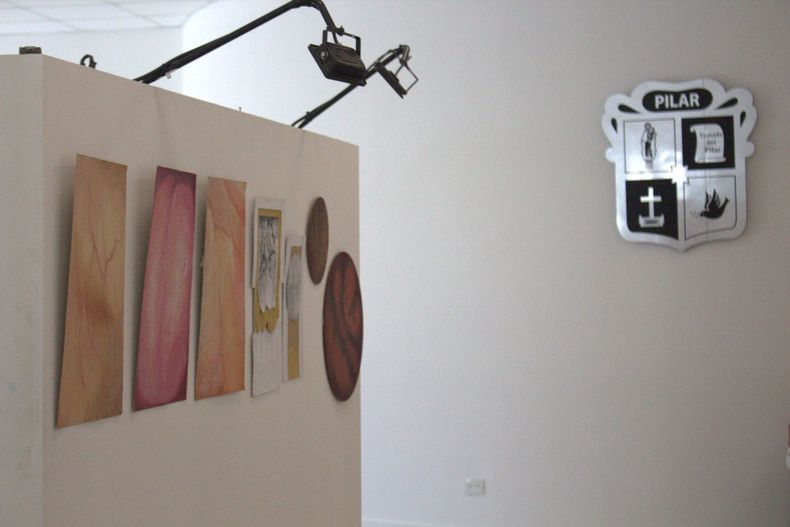 IMÁGENES MAESTRAS: La exposición de arte podrá visitarse durante&nbsp; febrero de lunes a viernes de 8 a 15 horas.