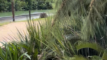 veranear en pilar: sharewood una playa escondida en los suburbios
