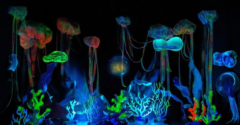 Llego a Escobar Vidas submarinas: ciencia, arte y soberanía.(escobaradiario.com.ar).