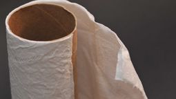 ¡Adiós al Papel Higiénico!  Este invento llegó para reemplazarlo.