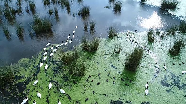 ¡Una aventura natural sin salir de la provincia! (perfilformosa.com)..jpg