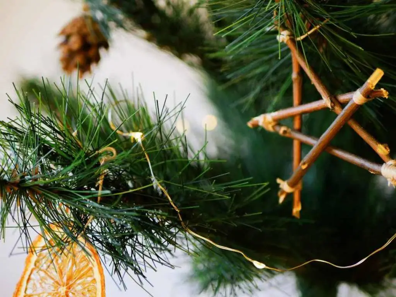 ¿Cómo tener una Navidad sostenible? (ecoosfera.com)..png