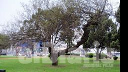 Efemérides