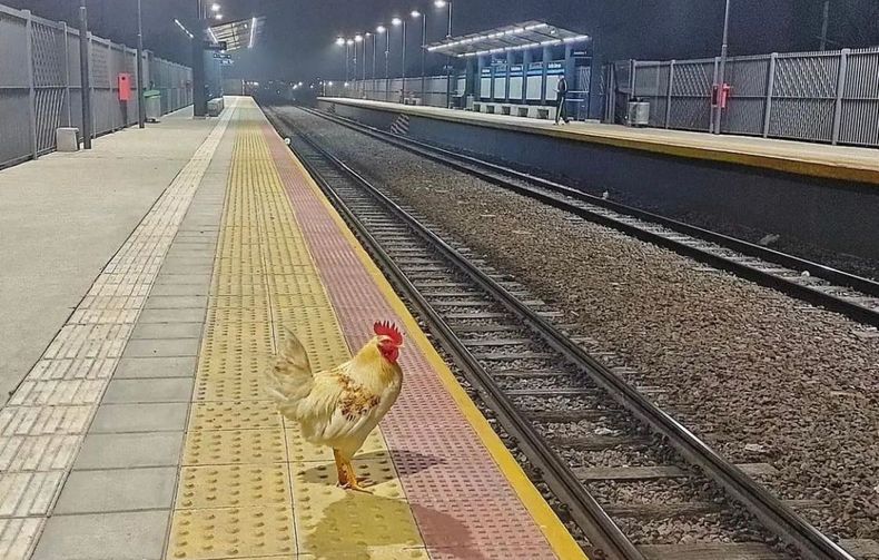FOTO CONTRA web.jpg