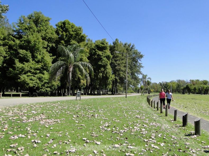 paseopublico27.jpg