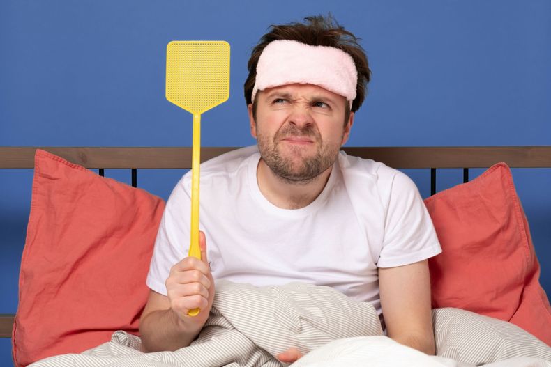 ¿Qué significa que una mosca te persiga? (todars.com)..jpeg