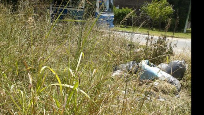 Foto denuncia. Está muy bien la campaña contra el dengue, en mi barrio pasaron la semana pasada. Pero yo tengo hecho un reclamo del día 10 de diciembre del 2012, N° de reclamo 627, de recolección y zanjeo que todavía sigo esperando, a pesar de haber vuelto a llamar varias veces más. Ya se sabe que toda esa basura (botellas, tarros, chapas etc.), es un lugar ideal para el mosquito. Hace un tiempo pedí personalmente un cartel de prohibido arrojar basura y su N° de ley y la respuesta fue n.