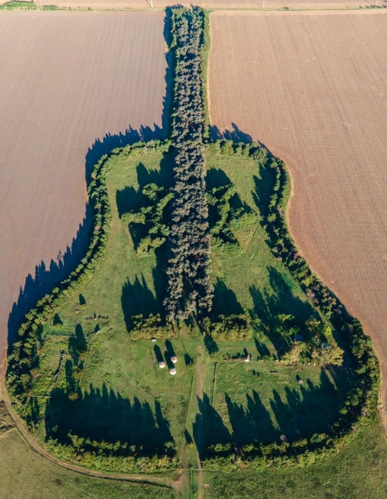 Más de 7.000 árboles dibujan la silueta de una guitarra gigante. (La Voz).