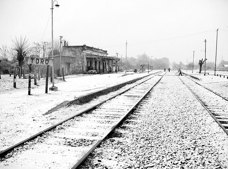 nieve