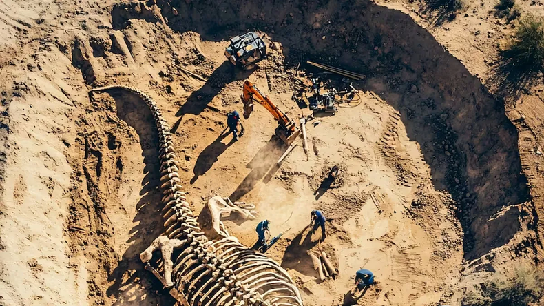 La excavación se realiza en una yacimiento instalado en General Roca. (Lacev).