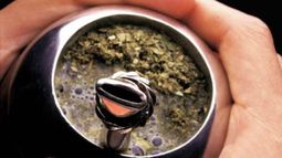 Un estudio señala que la pandemia modificó los hábitos de consumo del mate: se comparte menos